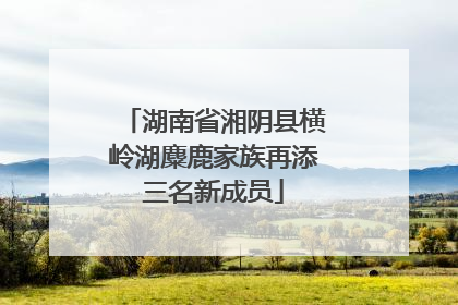 湖南省湘阴县横岭湖麋鹿家族再添三名新成员