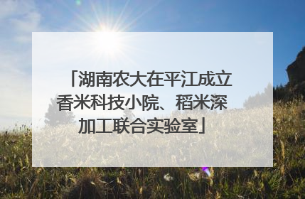 湖南农大在平江成立香米科技小院、稻米深加工联合实验室