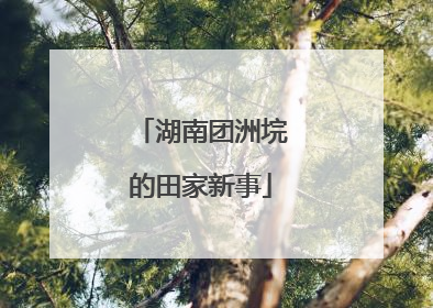 湖南团洲垸的田家新事