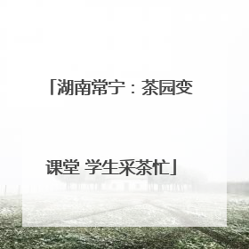 湖南常宁：茶园变课堂 学生采茶忙