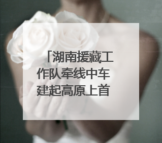 湖南援藏工作队牵线中车建起高原上首条清洁能源装配产线，本地大学生成车间检验员