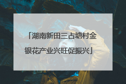 湖南新田三占塘村金银花产业兴旺促振兴