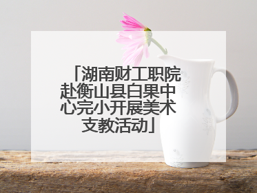 湖南财工职院赴衡山县白果中心完小开展美术支教活动
