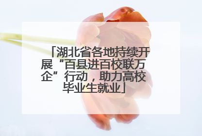 湖北省各地持续开展“百县进百校联万企”行动，助力高校毕业生就业