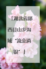 湖北省郧西县山乡沟域“流金淌银”