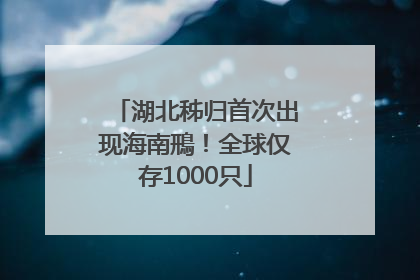湖北秭归首次出现海南鳽！全球仅存1000只