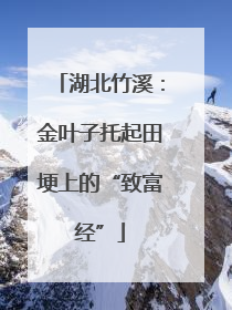 湖北竹溪：金叶子托起田埂上的“致富经”