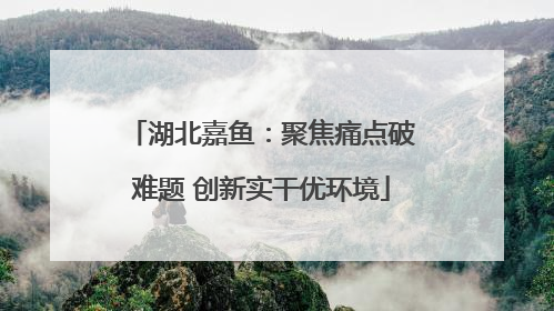 湖北嘉鱼：聚焦痛点破难题 创新实干优环境