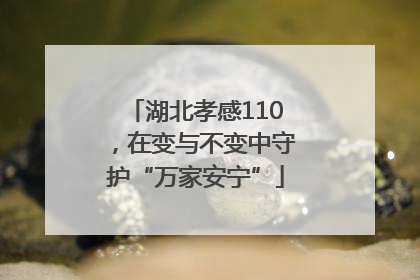 湖北孝感110，在变与不变中守护“万家安宁”