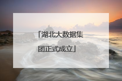 湖北大数据集团正式成立