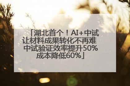 湖北首个！AI+中试让材料成果转化不再难 中试验证效率提升50%成本降低60%