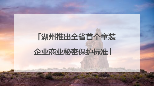 湖州推出全省首个童装企业商业秘密保护标准