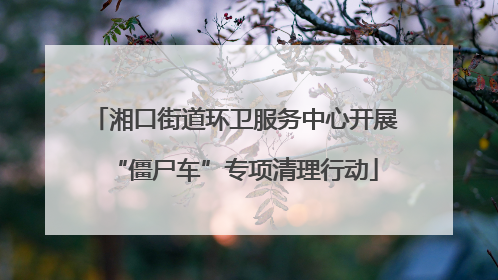 湘口街道环卫服务中心开展“僵尸车”专项清理行动