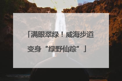 满眼翠绿！威海步道变身“绿野仙踪”