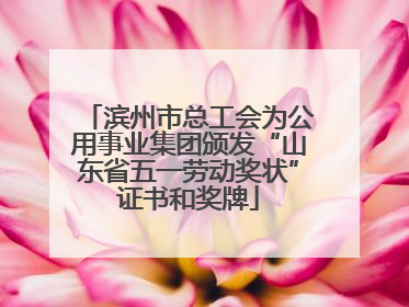 滨州市总工会为公用事业集团颁发“山东省五一劳动奖状”证书和奖牌