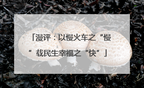 漫评：以慢火车之“慢”载民生幸福之“快”