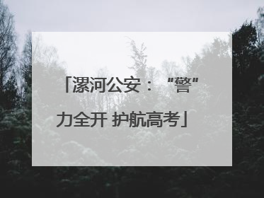 漯河公安：“警”力全开 护航高考