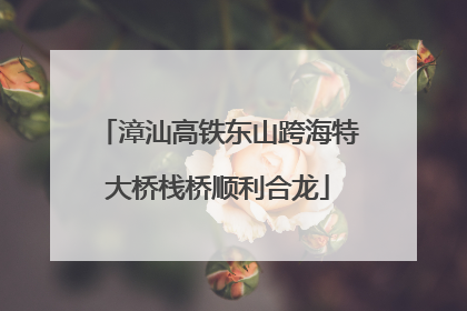 漳汕高铁东山跨海特大桥栈桥顺利合龙