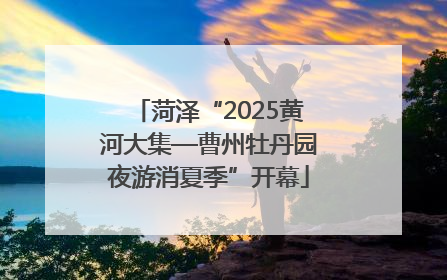 菏泽“2025黄河大集—曹州牡丹园夜游消夏季”开幕
