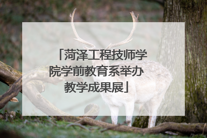 菏泽工程技师学院学前教育系举办教学成果展