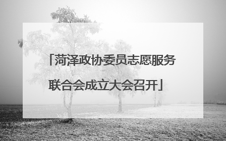 菏泽政协委员志愿服务联合会成立大会召开