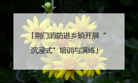 荆门消防进乡镇开展“沉浸式”培训与演练