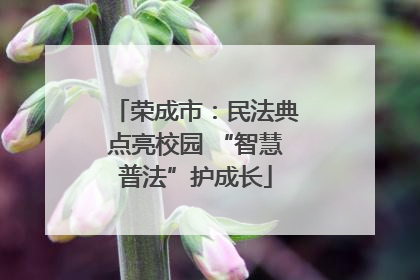 荣成市：民法典点亮校园 “智慧普法”护成长