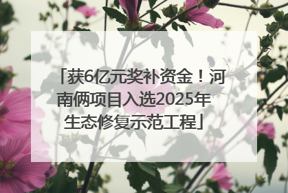 获6亿元奖补资金！河南俩项目入选2025年生态修复示范工程