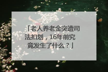 老人养老金突遭司法扣划，16年前究竟发生了什么？