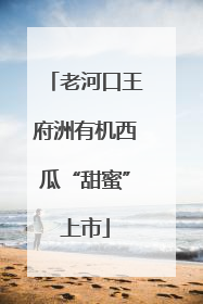 老河口王府洲有机西瓜“甜蜜”上市