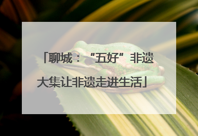 聊城：“五好”非遗大集让非遗走进生活