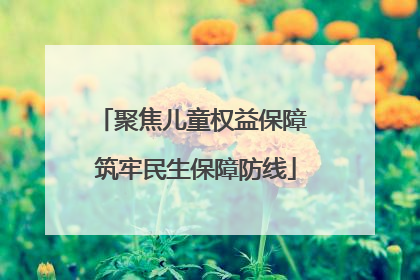聚焦儿童权益保障 筑牢民生保障防线