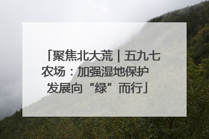 聚焦北大荒｜五九七农场：加强湿地保护 发展向“绿”而行