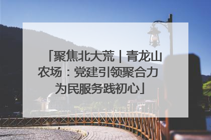 聚焦北大荒｜青龙山农场：党建引领聚合力 为民服务践初心