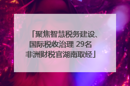 聚焦智慧税务建设、国际税收治理 29名非洲财税官湖南取经
