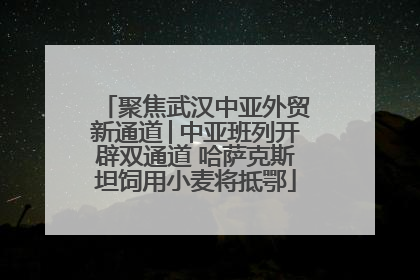 聚焦武汉中亚外贸新通道│中亚班列开辟双通道 哈萨克斯坦饲用小麦将抵鄂