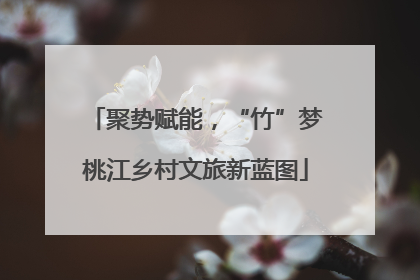 聚势赋能，“竹”梦桃江乡村文旅新蓝图
