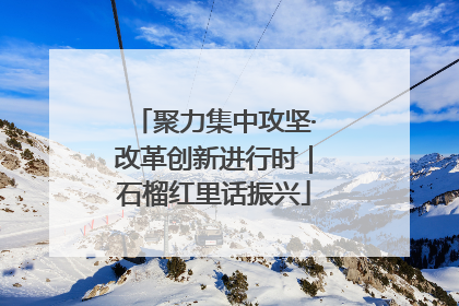 聚力集中攻坚·改革创新进行时｜石榴红里话振兴
