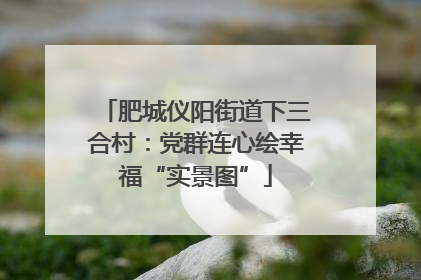 肥城仪阳街道下三合村：党群连心绘幸福“实景图”