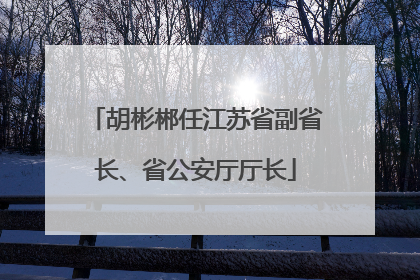 胡彬郴任江苏省副省长、省公安厅厅长