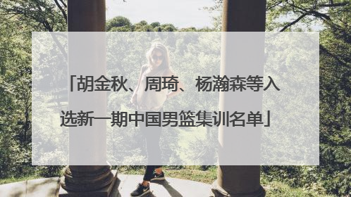胡金秋、周琦、杨瀚森等入选新一期中国男篮集训名单