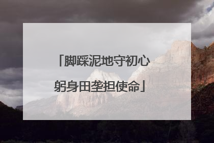 脚踩泥地守初心 躬身田垄担使命