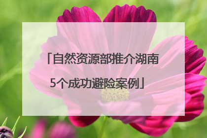 自然资源部推介湖南5个成功避险案例