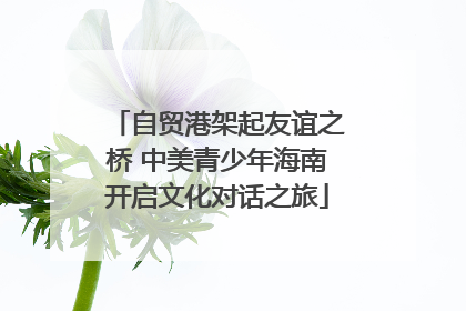 自贸港架起友谊之桥 中美青少年海南开启文化对话之旅