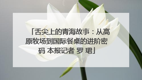 舌尖上的青海故事：从高原牧场到国际餐桌的进阶密码 本报记者 罗 珺