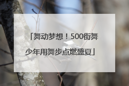 舞动梦想！500街舞少年用舞步点燃盛夏