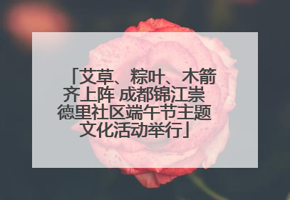 艾草、粽叶、木箭齐上阵 成都锦江崇德里社区端午节主题文化活动举行