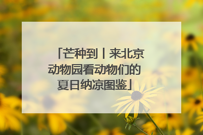 芒种到丨来北京动物园看动物们的夏日纳凉图鉴