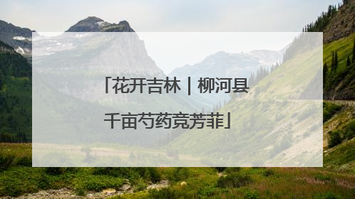 花开吉林｜柳河县千亩芍药竞芳菲