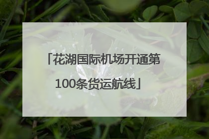 花湖国际机场开通第100条货运航线